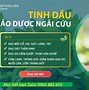 Công Ty Dạ Thảo Liên