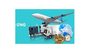 Học Logistics Và Quản Lý Chuỗi Cung Ứng Ra Trường Làm Gì Ở Đâu