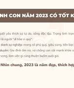 Tuổi Tý Sinh Con Năm 2023 Có Tốt Không Ạ